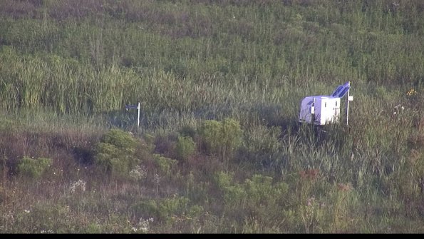 capture-5-23-08-04_07-23-03-60