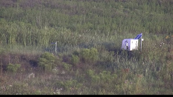 capture-5-23-08-04_07-29-33-56