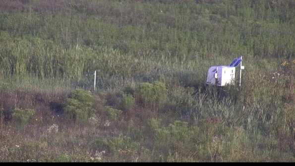 capture-5-23-08-04_07-31-43-59