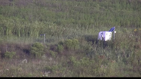 capture-5-23-08-04_07-53-24-34