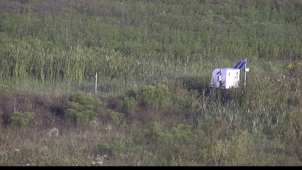 capture-5-23-08-04_07-55-33-43