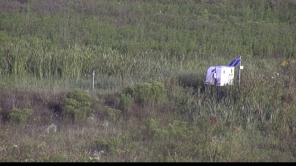 capture-5-23-08-04_08-04-13-52