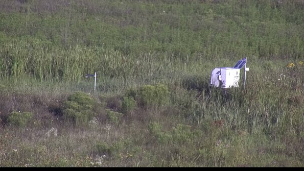 capture-5-23-08-04_08-12-53-41