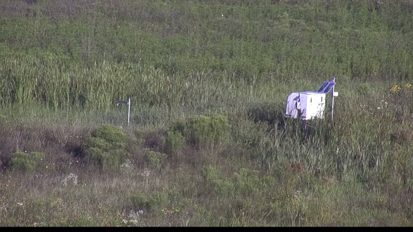 capture-5-23-08-04_08-15-03-31