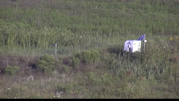 capture-5-23-08-04_08-19-23-33