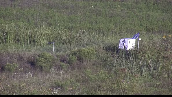 capture-5-23-08-04_08-21-33-36