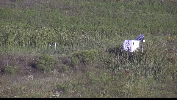 capture-5-23-08-04_08-30-14-29