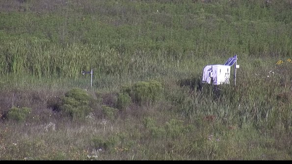 capture-5-23-08-04_08-38-53-54