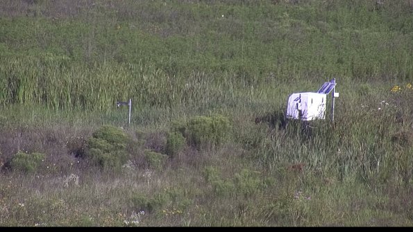 capture-5-23-08-04_08-51-54-36