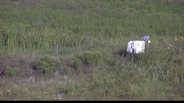 capture-5-23-08-04_09-00-33-11