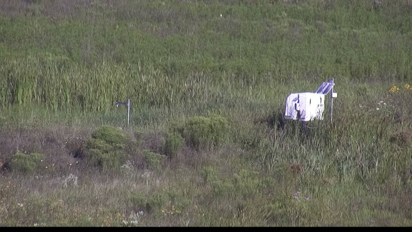 capture-5-23-08-04_09-02-43-48