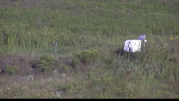 capture-5-23-08-04_09-04-53-98