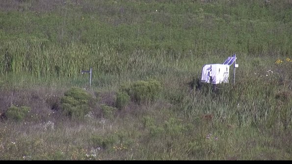 capture-5-23-08-04_09-11-23-44