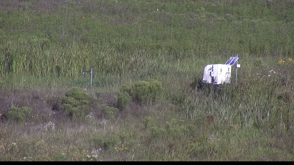 capture-5-23-08-04_09-20-04-06