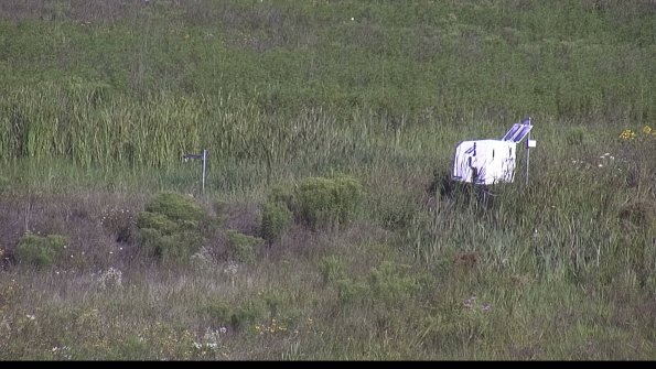 capture-5-23-08-04_09-30-53-98