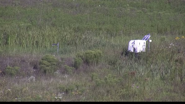 capture-5-23-08-04_09-33-04-01