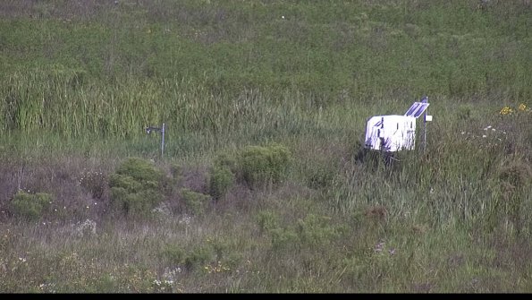 capture-5-23-08-04_10-02-10-09