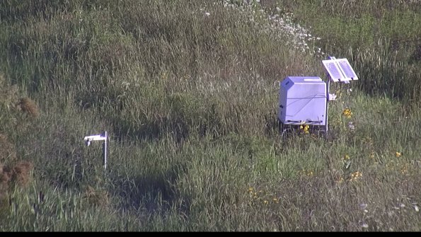 capture-6-23-08-04_08-19-32-71