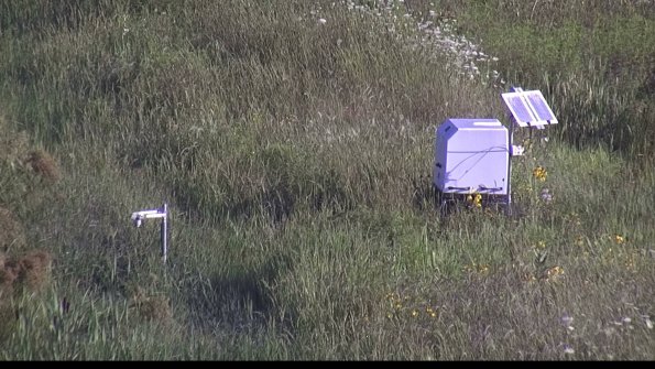 capture-6-23-08-04_08-36-52-52