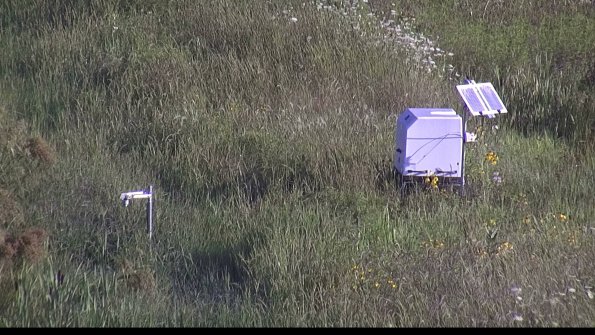 capture-6-23-08-04_08-39-02-59