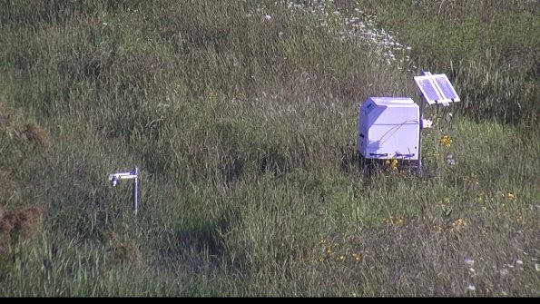 capture-6-23-08-04_08-52-02-60