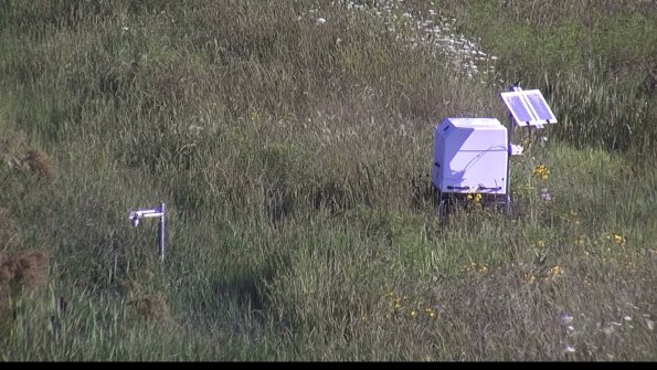 capture-6-23-08-04_09-00-43-06