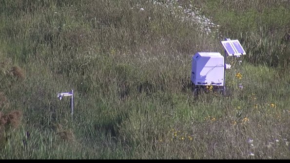 capture-6-23-08-04_09-05-02-72