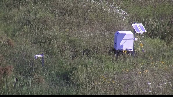 capture-6-23-08-04_09-09-23-11