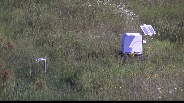 capture-6-23-08-04_09-18-02-90