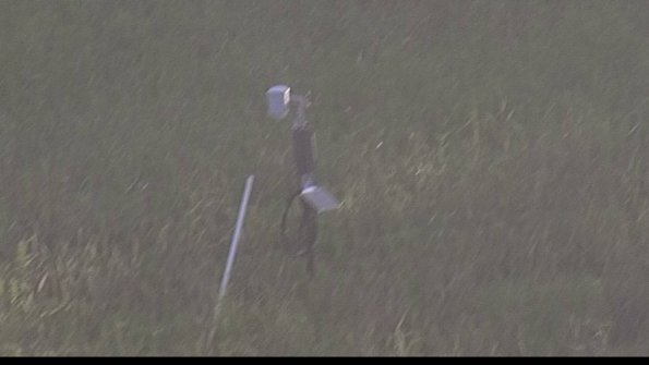 capture-7-23-08-04_07-53-42-49