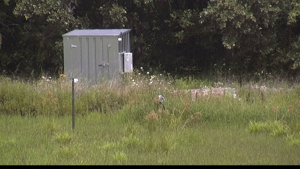 capture-2-23-08-05_13-07-43-73