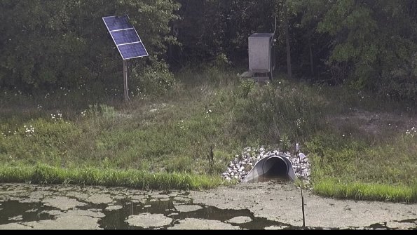 capture-3-23-08-05_12-46-11-00