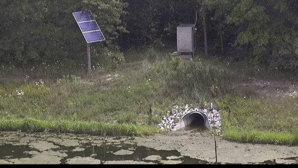 capture-3-23-08-05_13-03-31-05