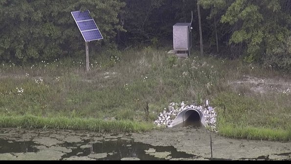 capture-3-23-08-05_13-29-30-81