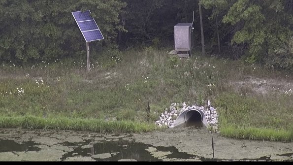 capture-3-23-08-05_13-38-10-93