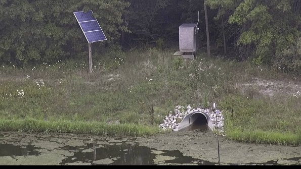 capture-3-23-08-05_13-55-30-88