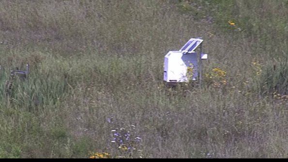 capture-4-23-08-05_11-08-31-49