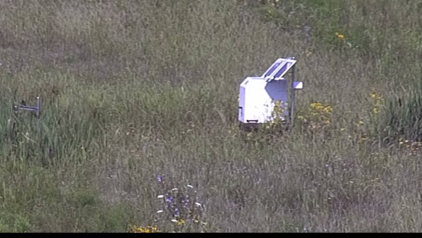 capture-4-23-08-05_11-17-12-54