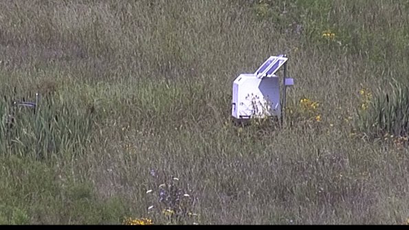 capture-4-23-08-05_11-43-31-56