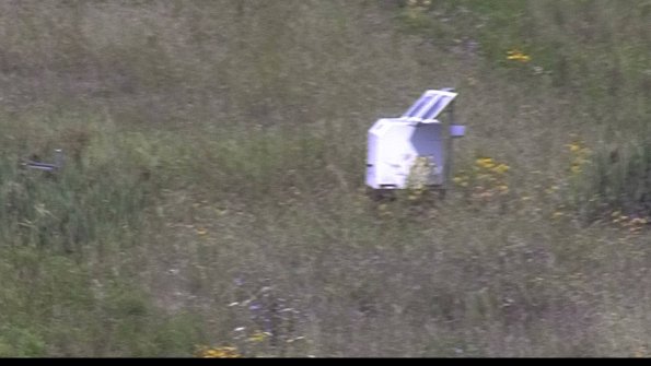 capture-4-23-08-05_11-45-41-52