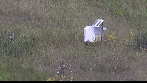 capture-4-23-08-05_11-58-41-61