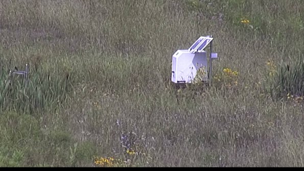 capture-4-23-08-05_12-03-01-67