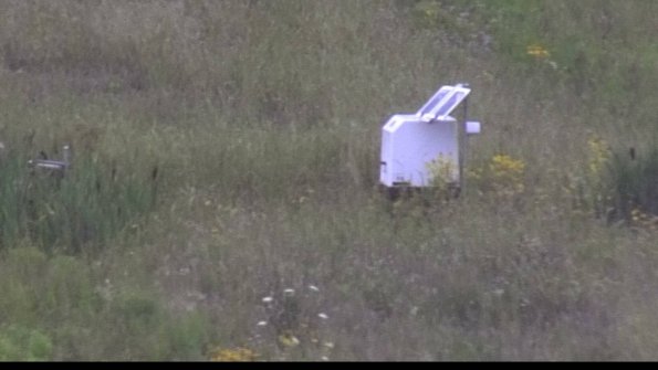 capture-4-23-08-05_13-31-52-52