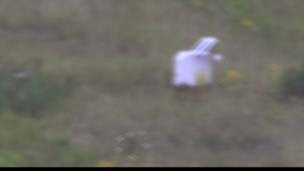 capture-4-23-08-05_13-44-51-67