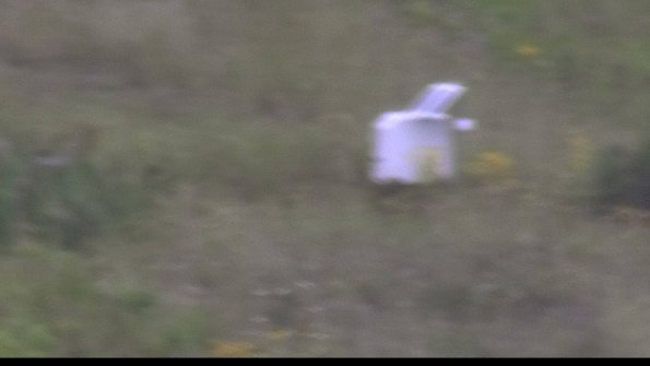 capture-4-23-08-05_14-04-21-45