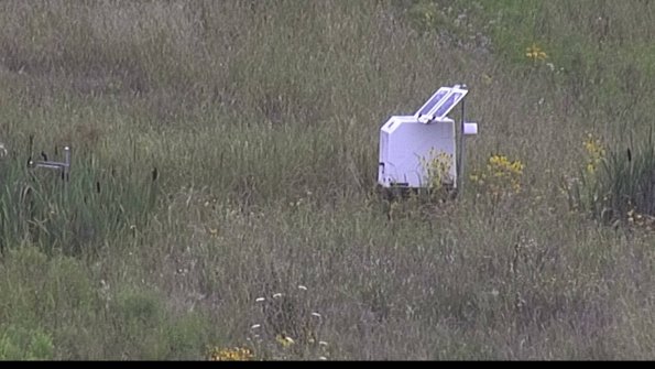 capture-4-23-08-05_14-23-51-52