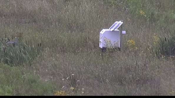 capture-4-23-08-05_14-52-02-62