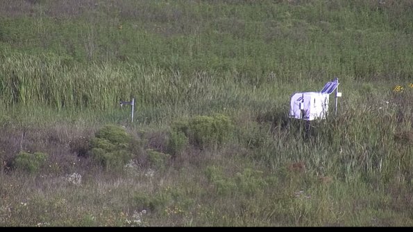 capture-5-23-08-05_08-41-20-31