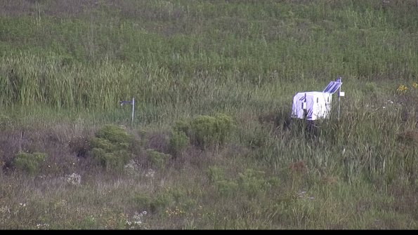 capture-5-23-08-05_08-50-00-30