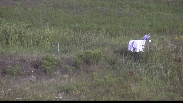 capture-5-23-08-05_08-54-20-32